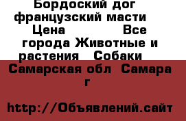 Бордоский дог ( французский масти)  › Цена ­ 50 000 - Все города Животные и растения » Собаки   . Самарская обл.,Самара г.